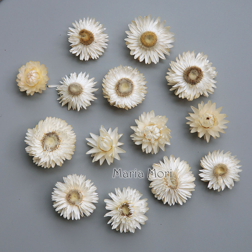 Baby Products List - Natural Dried Colorful Chrysanthemum Wreath Handmade
